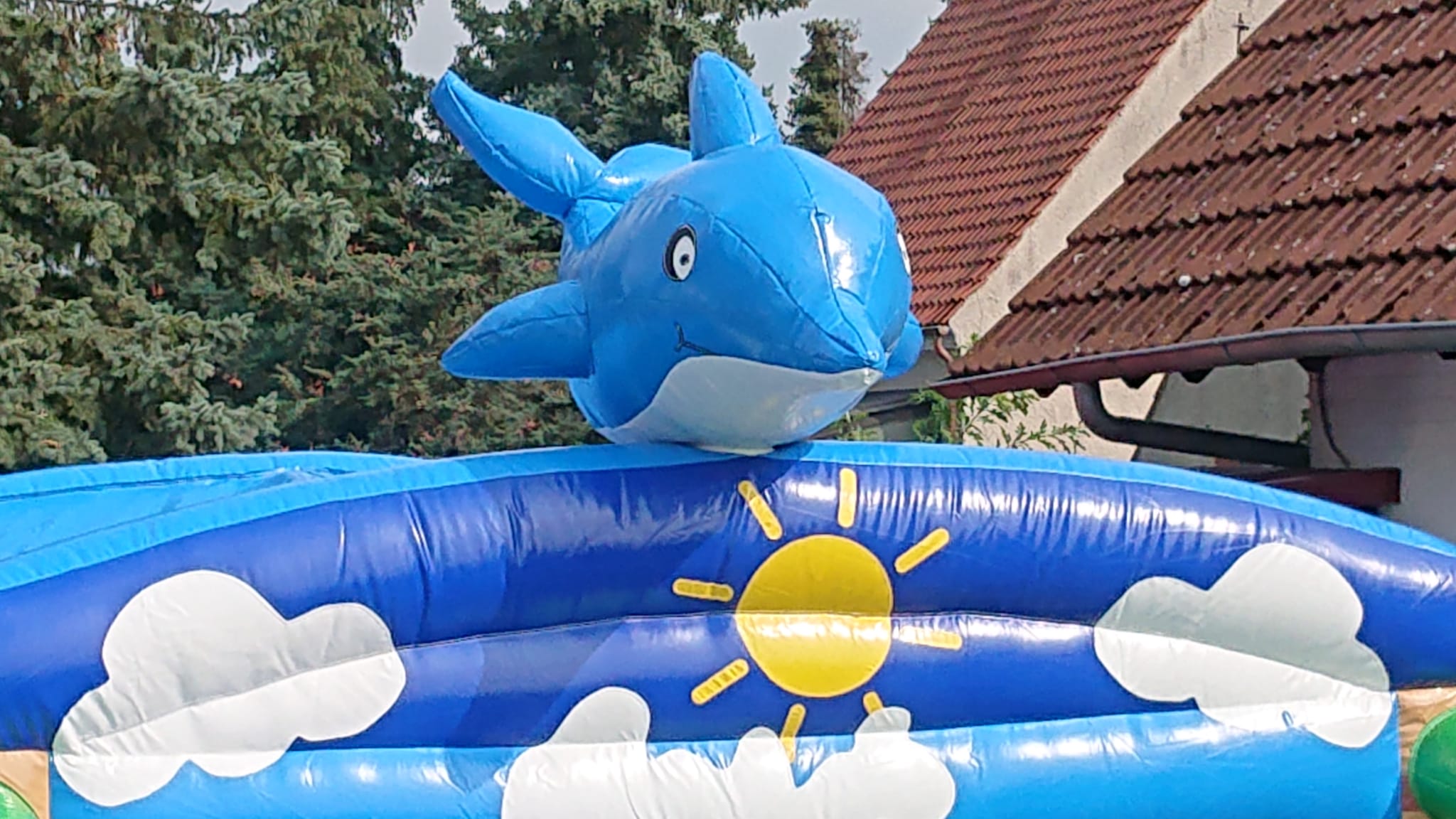 Flipper